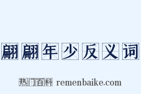 翩翩年少反义词是什么意思的图片